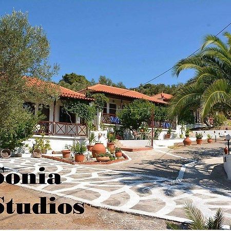 Sonia Studios Nees Kidonies Room photo